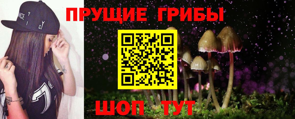 Псилоцибиновые грибы Psilocybe Сафоново