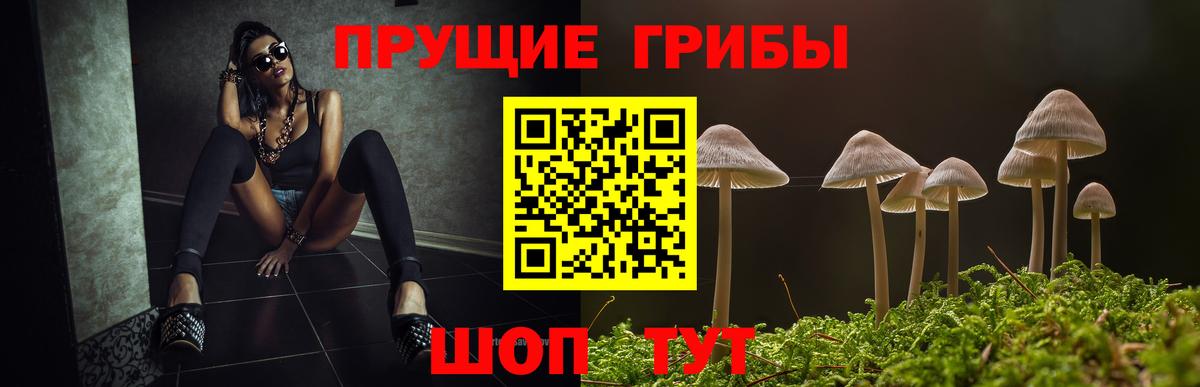 Сафоново  Псилоцибиновые грибы прущие грибы  Вход с VPN 
